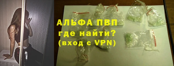 спиды Богданович