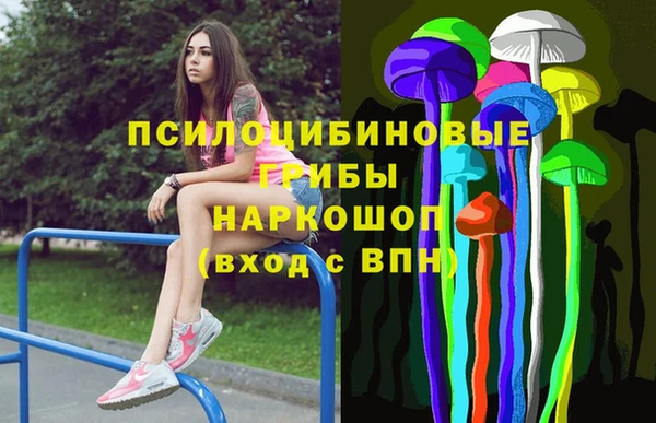 дмт Богородицк