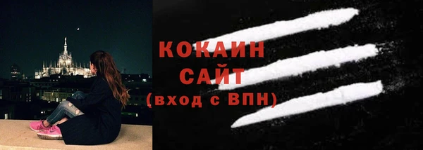 спиды Богданович
