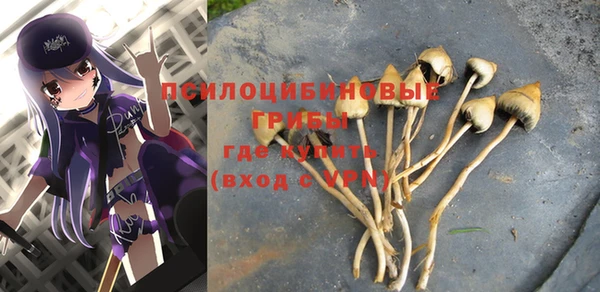 спиды Саяногорск