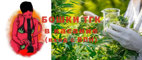 дмт Богородицк
