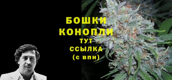 спиды Богданович